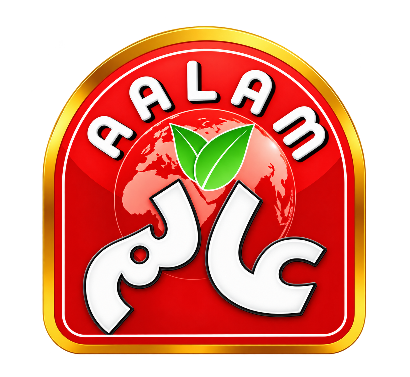 Aalam logo